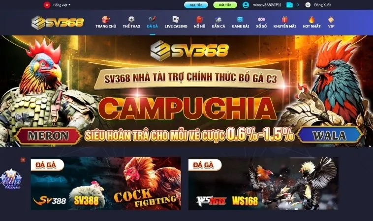 Sảnh đá gà SV368 thiết kế giao diện đẹp, sống động
